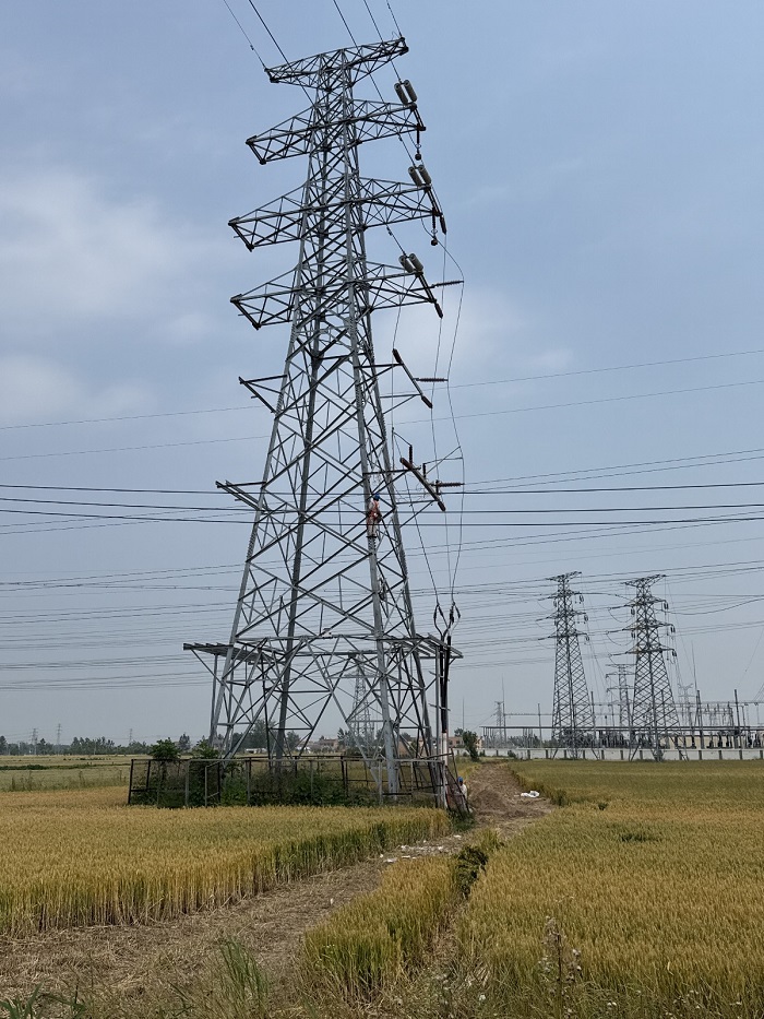 徐州倪村~官山T接潼澤變110kV線路工程.jpg